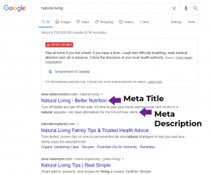 Search engine results pafe for natural living, with arrows pointing to a meta title and description 
