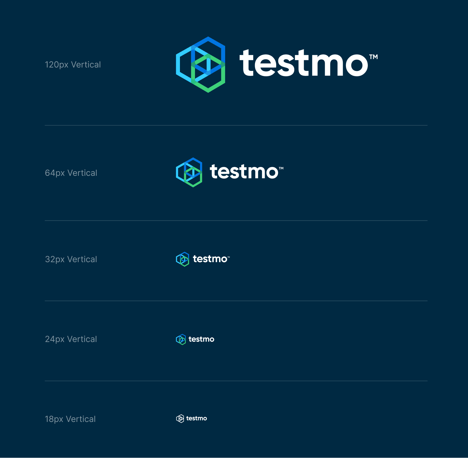 Logo variations and responsive designs from brand Testmo.