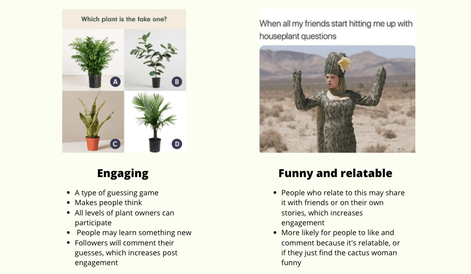 Comparing content types for houseplant businesses social media
